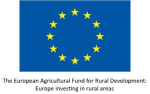 EU funding logo and text.